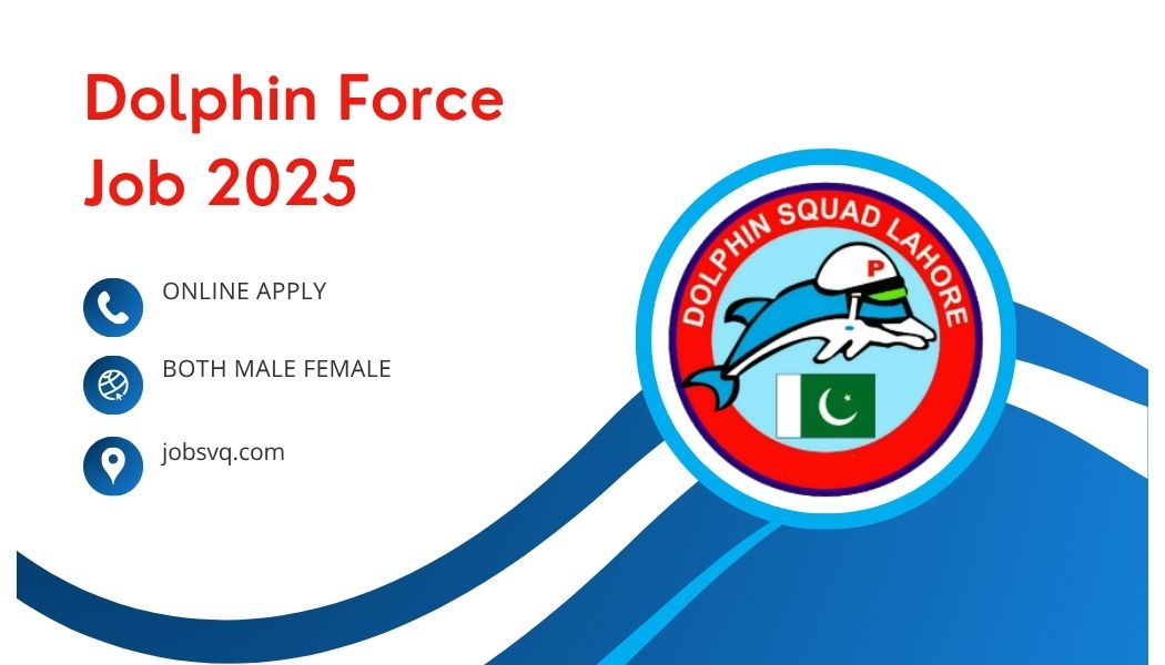 Dolphin Force Job 2025