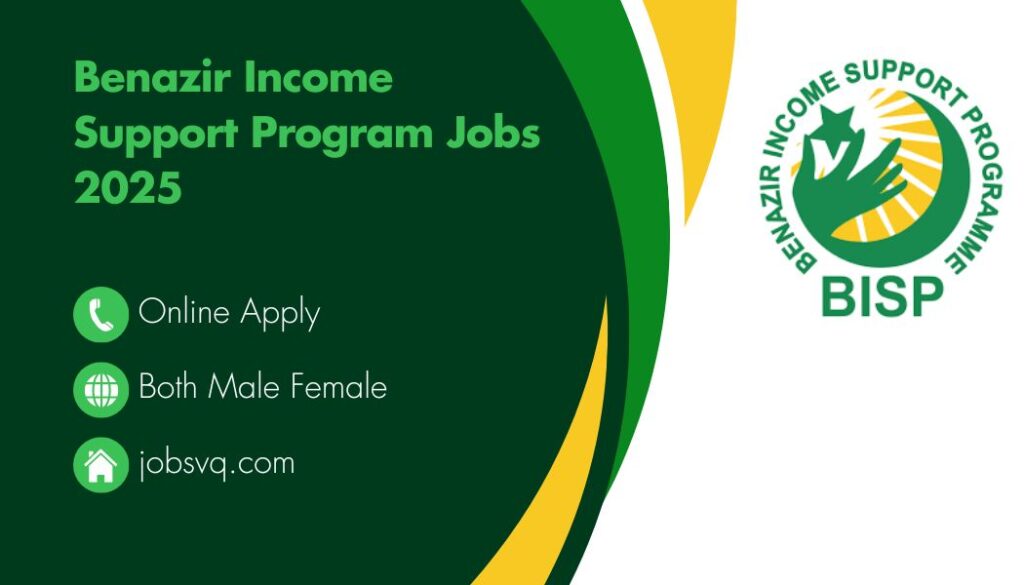 Benazir Income Support Program Jobs 2025